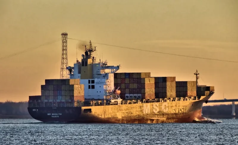MSC MARIA PIA Container Ship IMO 9155107 photo 8
