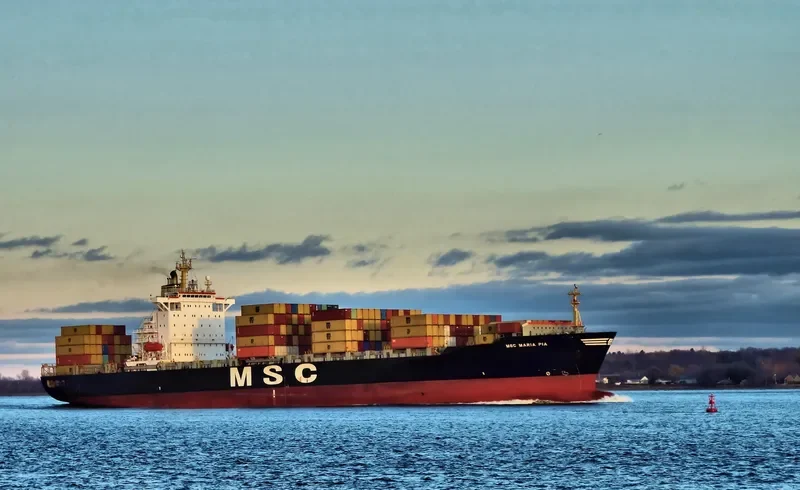 MSC MARIA PIA Container Ship IMO 9155107 photo 9