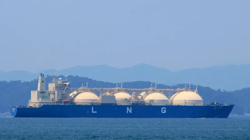 HYUNDAI COSMOPIA General Cargo IMO 9155157 photo 3