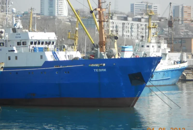 PAMIR General Cargo IMO 9155183