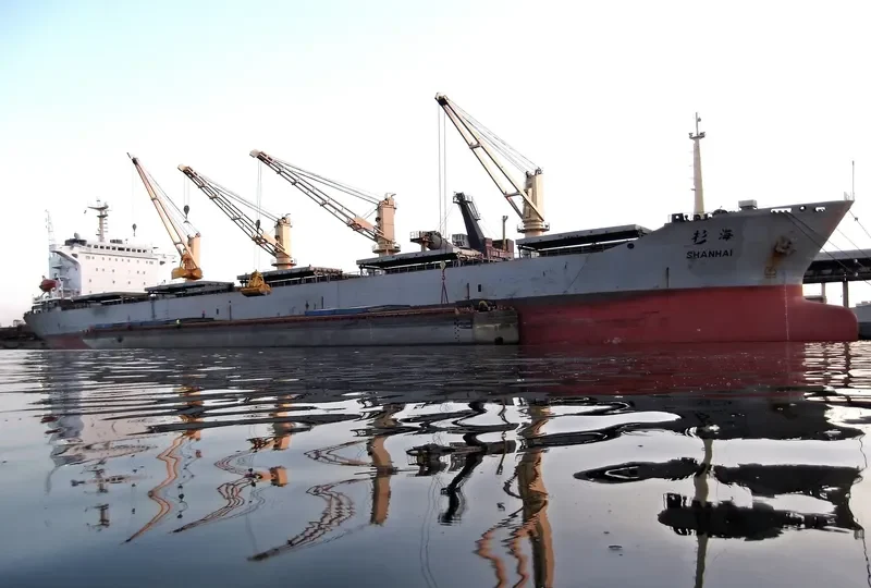 SHAN HAI Bulk Carrier IMO 9155339 photo 4