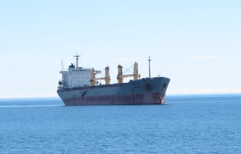 SHAN HAI Bulk Carrier IMO 9155339 photo 5