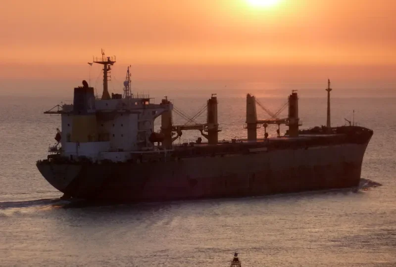 SHAN HAI Bulk Carrier IMO 9155339 photo 8