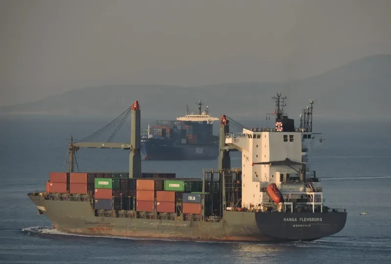 HANSA FLENSBURG Container Ship IMO 9155365 photo 3