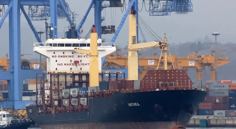 MTT PASIR GUDANG Container Ship IMO 9155389