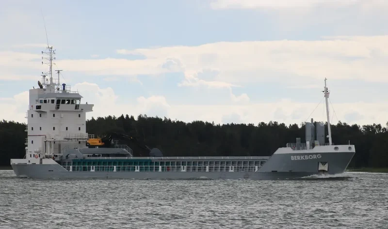 BERKBORG Container Ship IMO 9155872