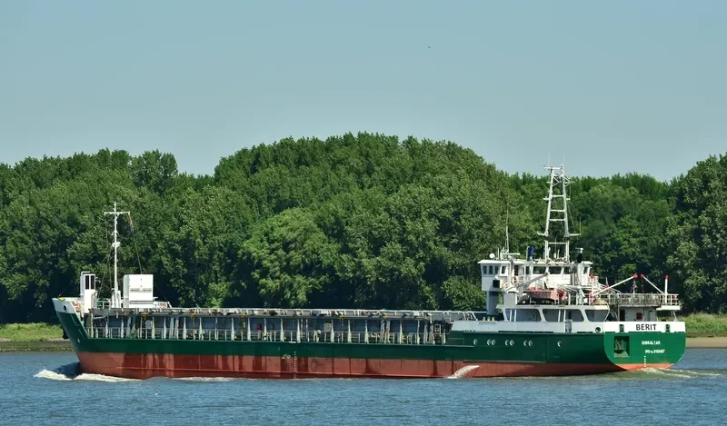 WILSON LUGA General Cargo IMO 9156187 photo 7