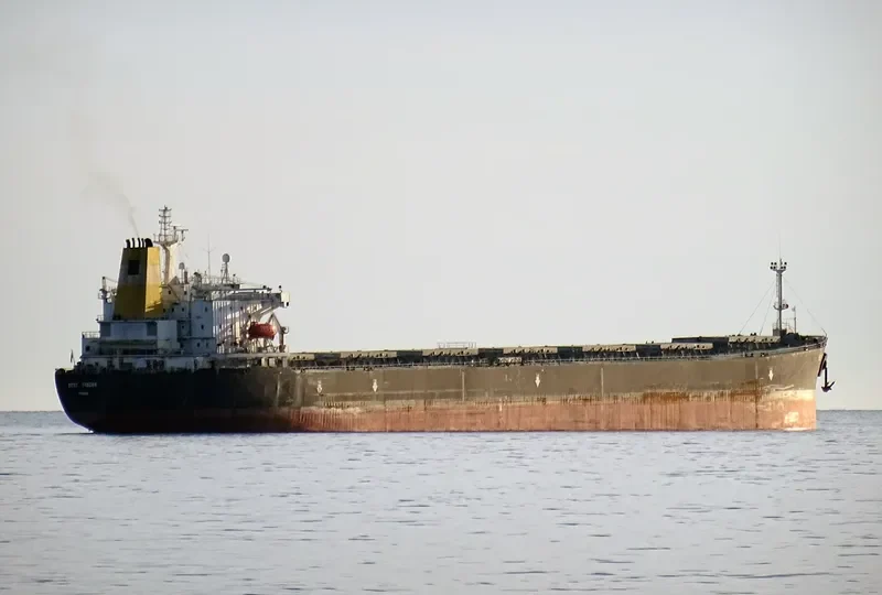 BEST TRADER Bulk Carrier IMO 9156278