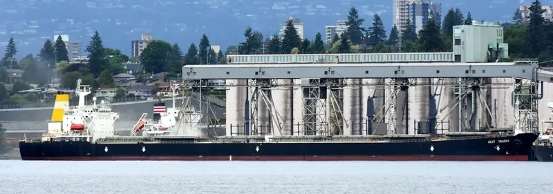 BEST TRADER Bulk Carrier IMO 9156278 photo 3