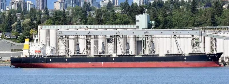 BEST TRADER Bulk Carrier IMO 9156278 photo 4