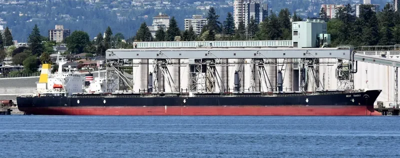 BEST TRADER Bulk Carrier IMO 9156278 photo 5