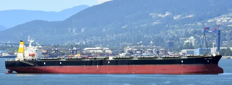 BEST TRADER Bulk Carrier IMO 9156278 photo 7