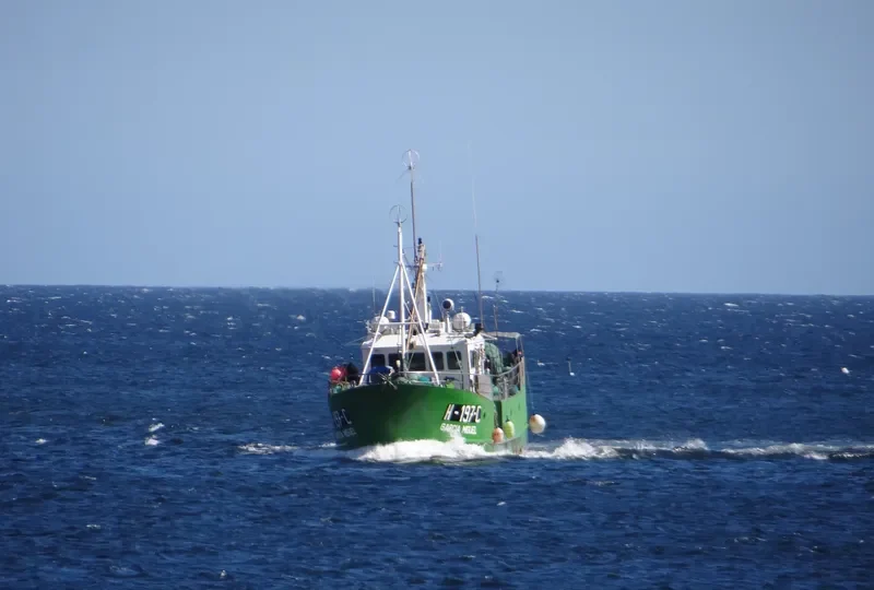 GARCIA MIGUEL General Cargo IMO 9156321 photo 7