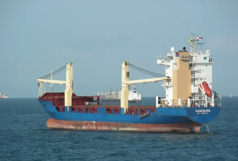 HANEBURG Container Ship IMO 9156400 photo 2