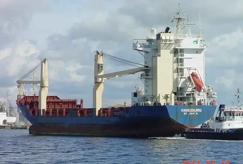 HANEBURG Container Ship IMO 9156400 photo 5