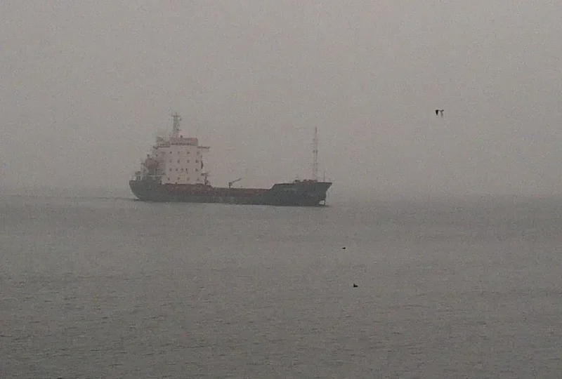 STURM General Cargo IMO 9156424
