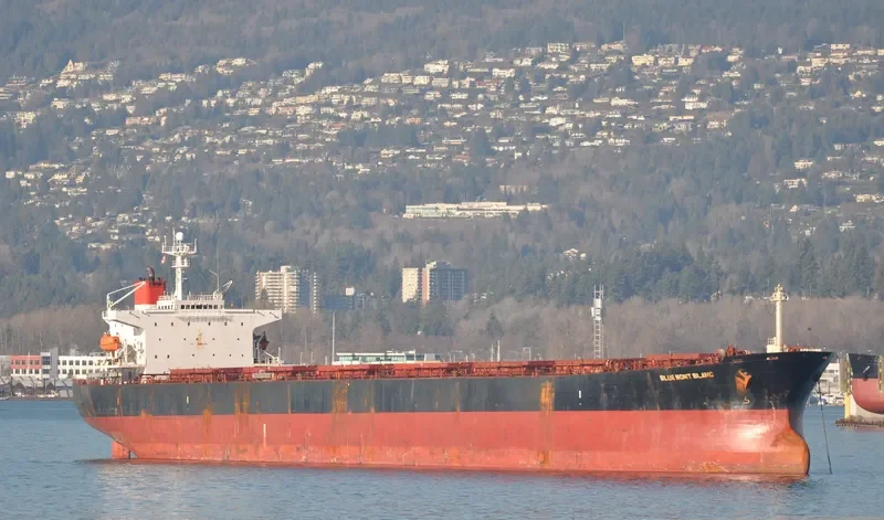 BLUE MONT BLANC Bulk Carrier IMO 9156589 photo 2