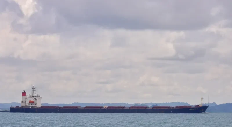 BLUE MONT BLANC Bulk Carrier IMO 9156589 photo 3