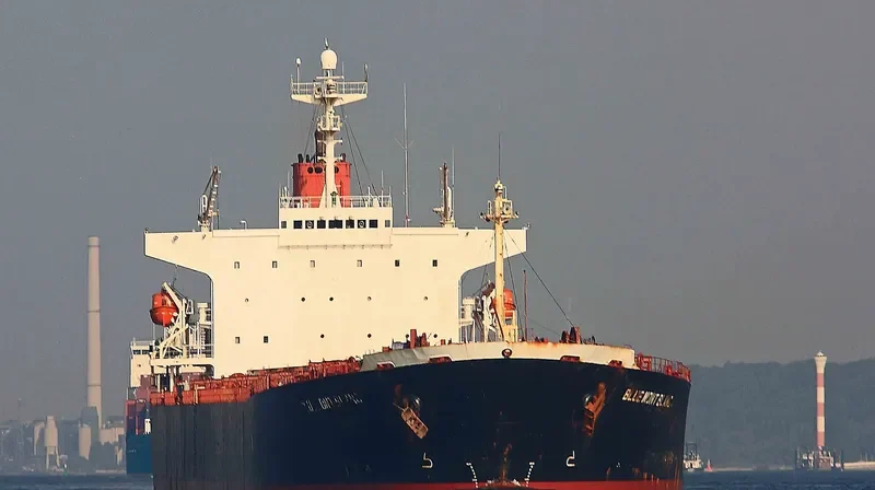 BLUE MONT BLANC Bulk Carrier IMO 9156589 photo 5