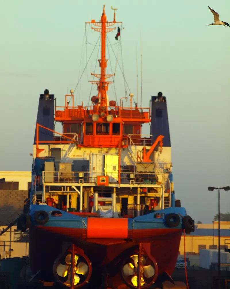 KING DAVID Offshore Vessel IMO 9156618 photo 8