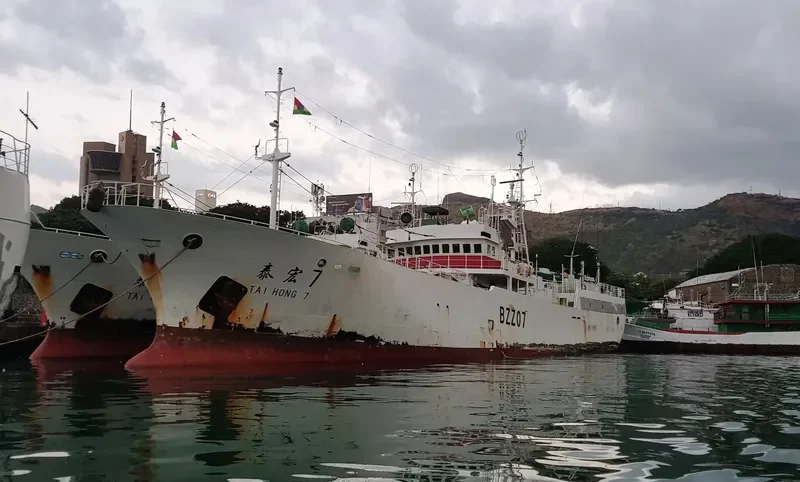 SH General Cargo IMO 9156632 photo 2
