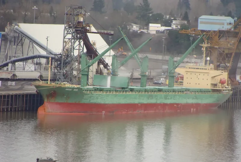 GUO DIAN 26 Bulk Carrier IMO 9156644