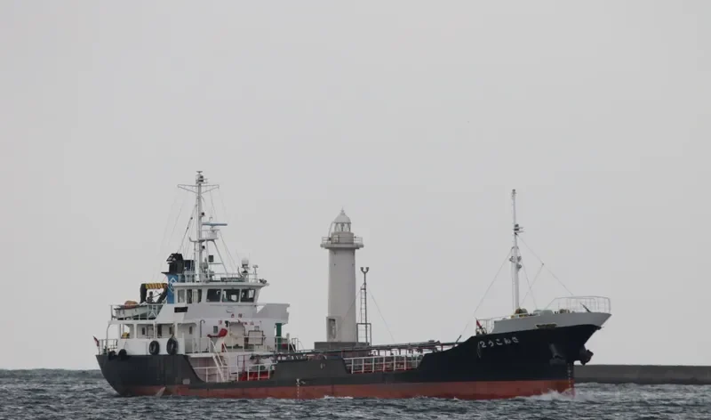 SANKO 2 Tanker IMO 9156670 photo 5