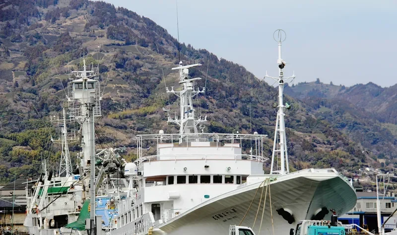 INARI MARU NO.83 General Cargo IMO 9156747 photo 2