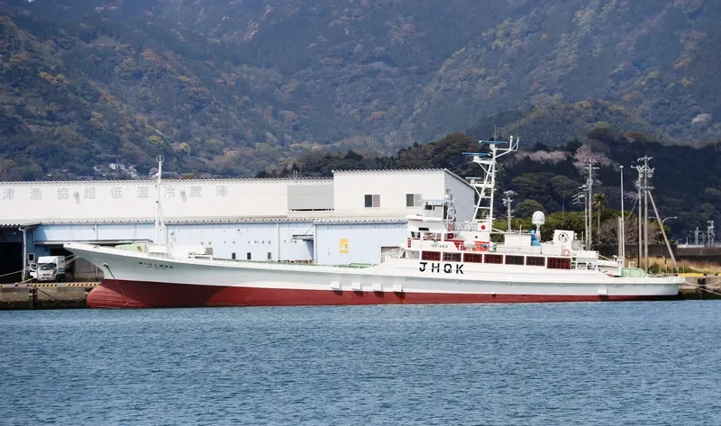 INARI MARU NO.83 General Cargo IMO 9156747 photo 7