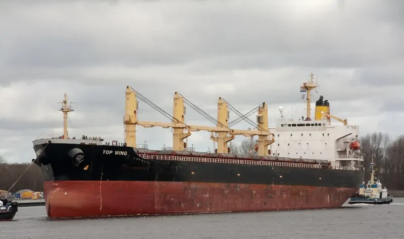 TOP WING Bulk Carrier IMO 9156773 photo 4