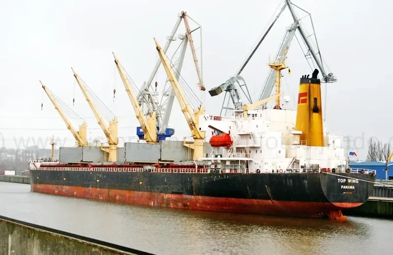 TOP WING Bulk Carrier IMO 9156773 photo 8