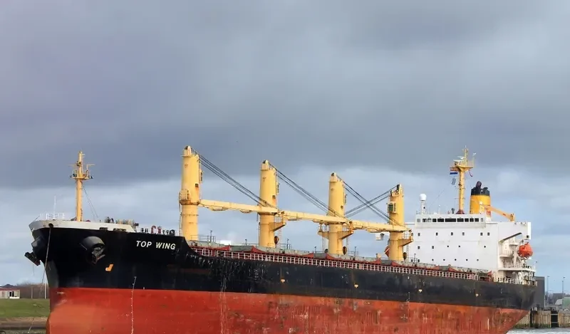 TOP WING Bulk Carrier IMO 9156773 photo 9