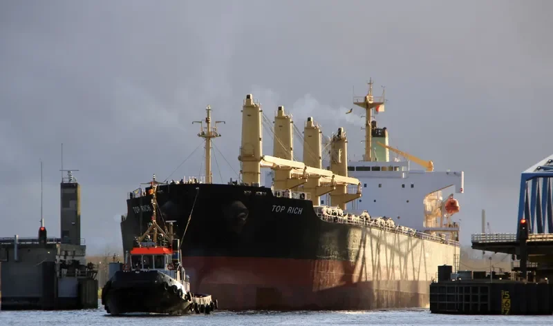 TOP RICH Bulk Carrier IMO 9156785 photo 4