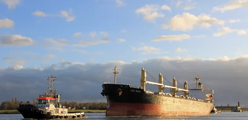 TOP RICH Bulk Carrier IMO 9156785 photo 5