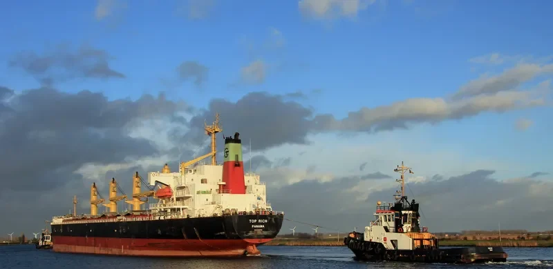 TOP RICH Bulk Carrier IMO 9156785 photo 7