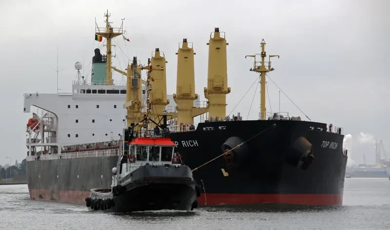 TOP RICH Bulk Carrier IMO 9156785 photo 10