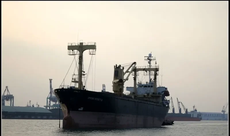 TOKU HARU General Cargo IMO 9156802 photo 8