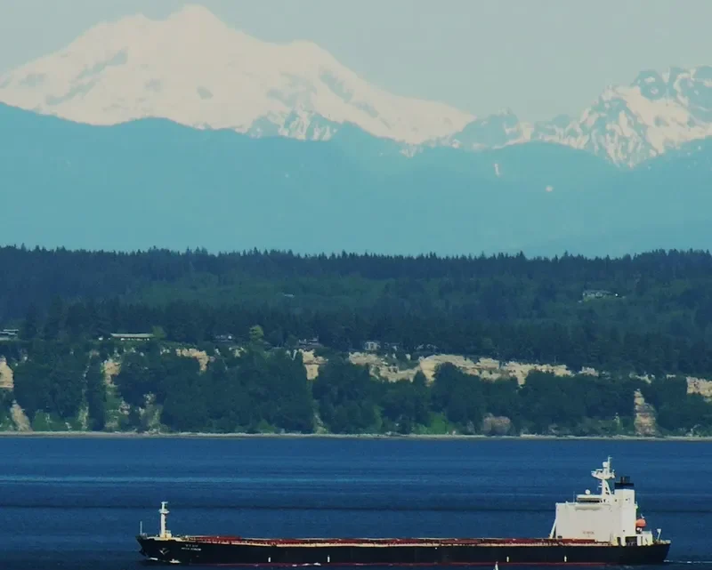 CHANG MING 2 Bulk Carrier IMO 9156838 photo 6