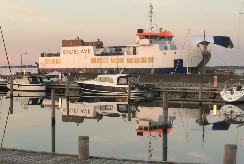ENDELAVE Ro-Ro IMO 9157105 photo 2