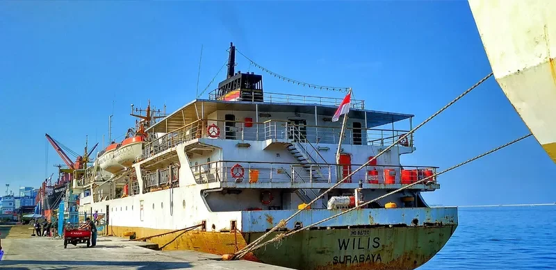 WILIS Passenger Ship IMO 9157210