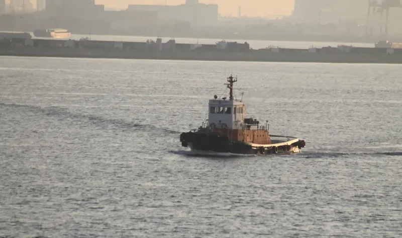 MITSUISHI General Cargo IMO 9157313