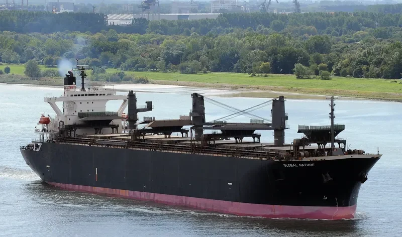 GLOBAL NATURE General Cargo IMO 9157325 photo 2