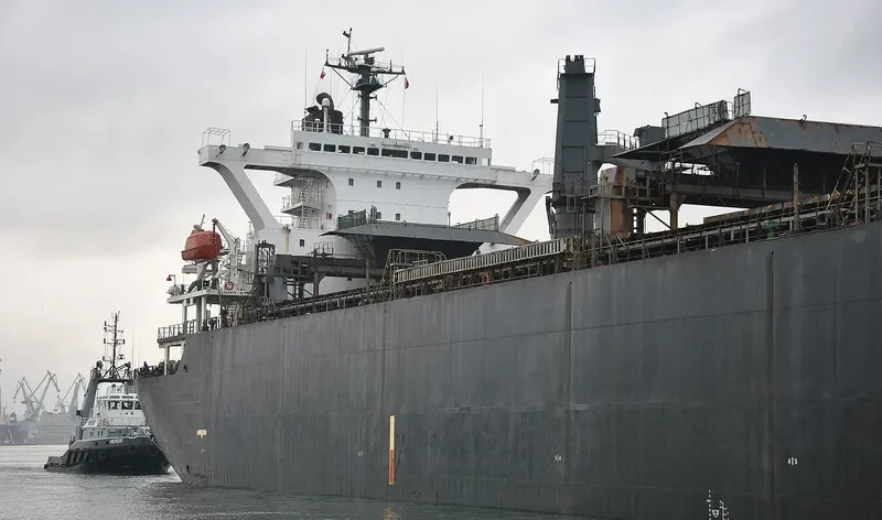 GLOBAL NATURE General Cargo IMO 9157325 photo 8