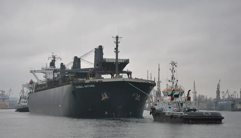 GLOBAL NATURE General Cargo IMO 9157325 photo 9