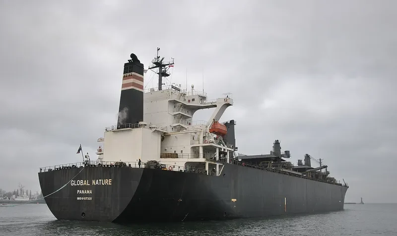 GLOBAL NATURE General Cargo IMO 9157325 photo 10