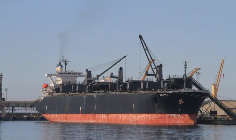 NAVITEC Bulk Carrier IMO 9157337