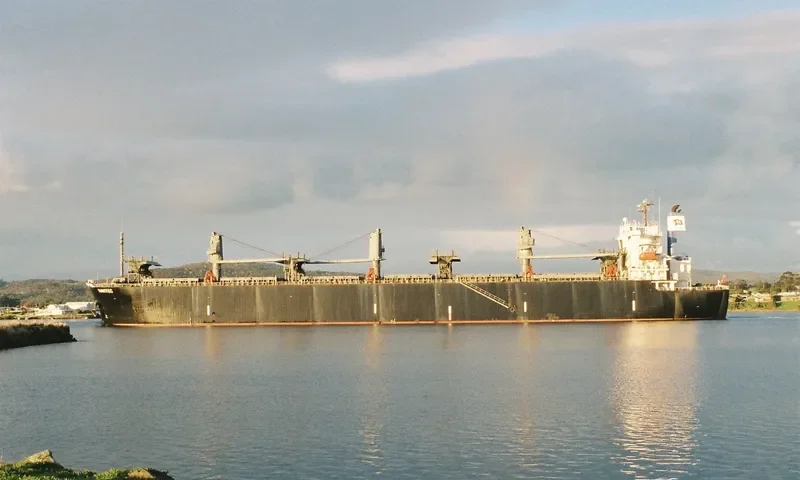 NAVITEC Bulk Carrier IMO 9157337 photo 4