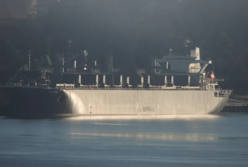 NAVITEC Bulk Carrier IMO 9157337 photo 8