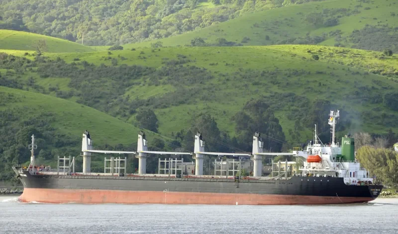 TAI HO Bulk Carrier IMO 9157351 photo 2