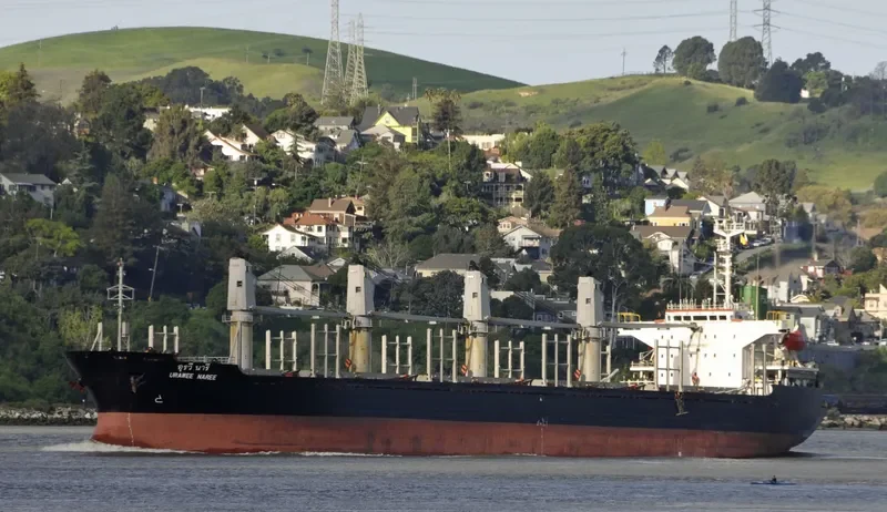 TAI HO Bulk Carrier IMO 9157351 photo 3